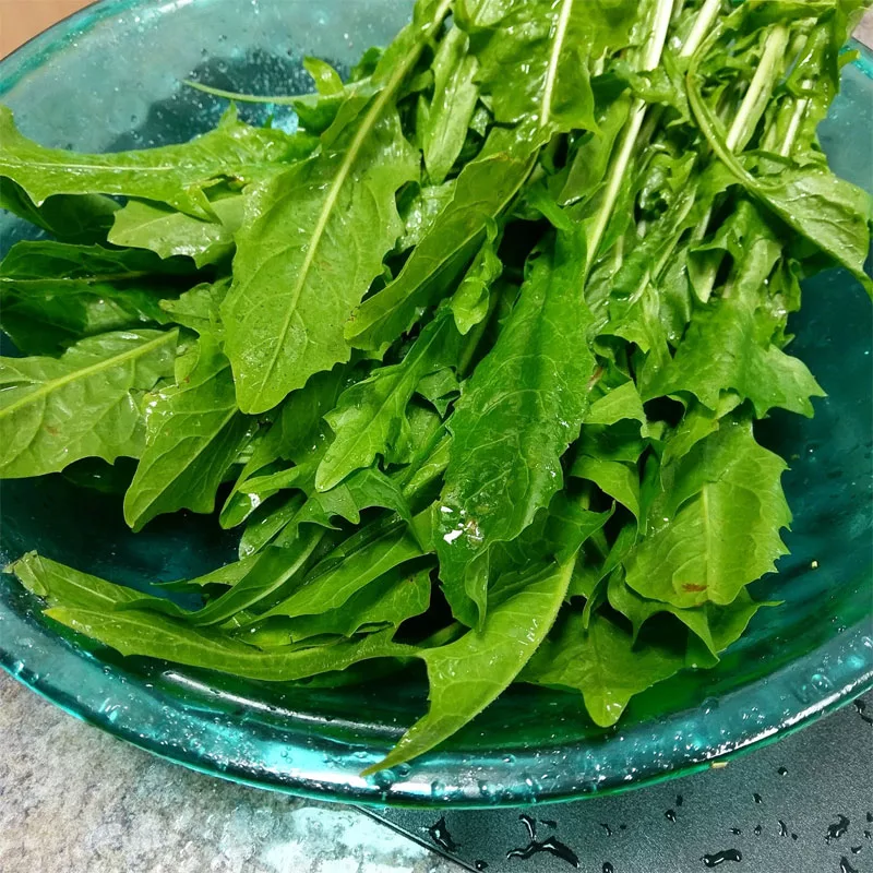 Excellent Swiss Chard Substitutes