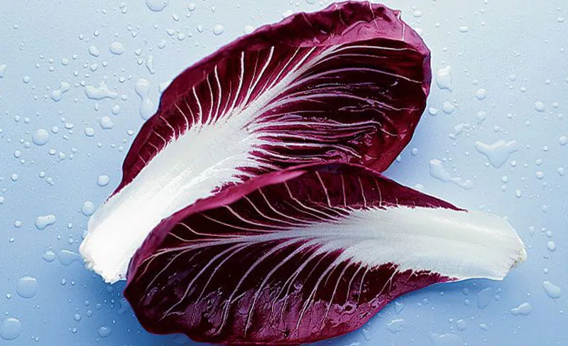 Radicchio